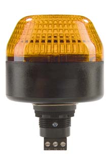 P65-V1-B-DS-O