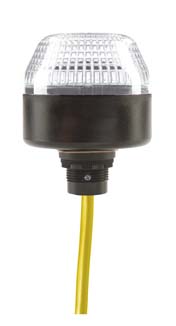 P65-V1-B-DW