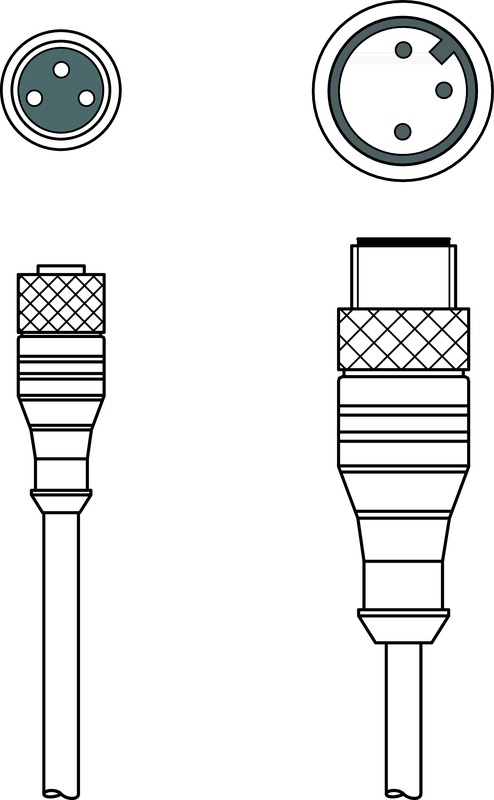 Figure pouvant varier