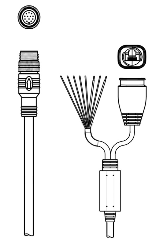 Figure pouvant varier