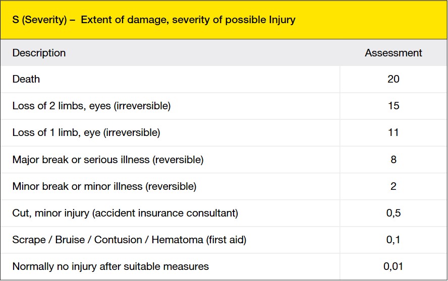 Lesser's Risk Form 风险评估